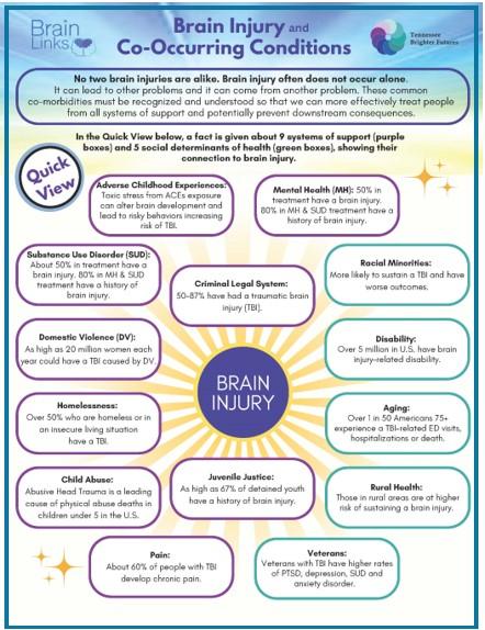 Brain Injury & Co-Occurring Conditions Infographic