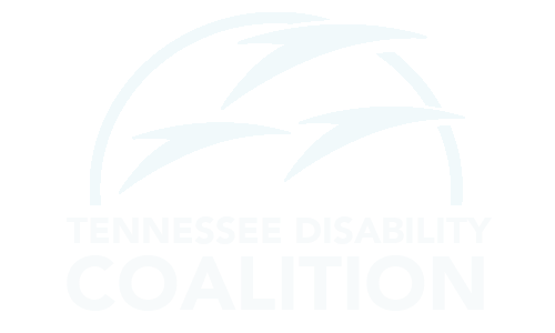 TNDisability Logo