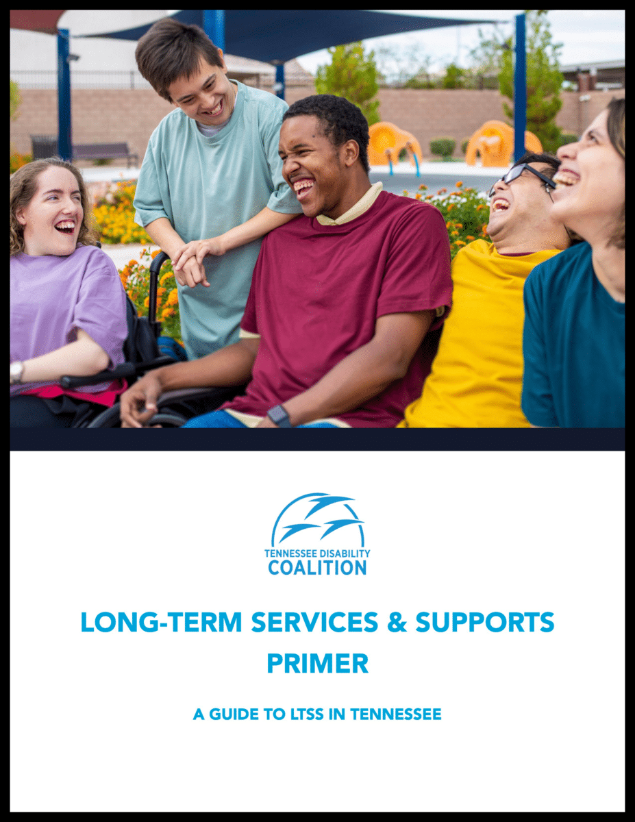Disability Rights Tn A Guide to Long-Term Services and Supports in Tennessee | Tennessee ...